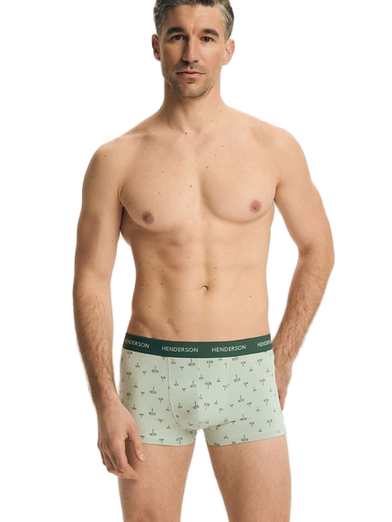 Maillot de bain homme vert sauge à motif